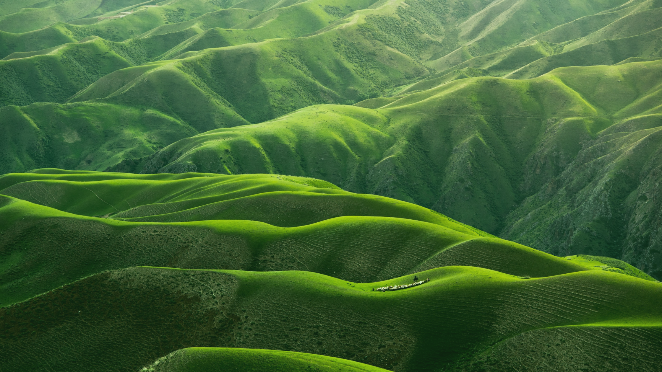 Rolling green hills